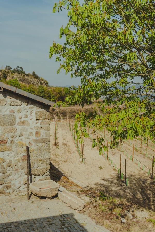 The Farmhouse I - Uma Quinta Deslumbrante Villa Felgueiras Eksteriør bilde