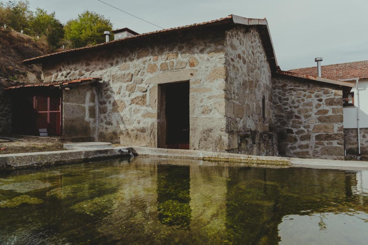 The Farmhouse I - Uma Quinta Deslumbrante Villa Felgueiras Eksteriør bilde