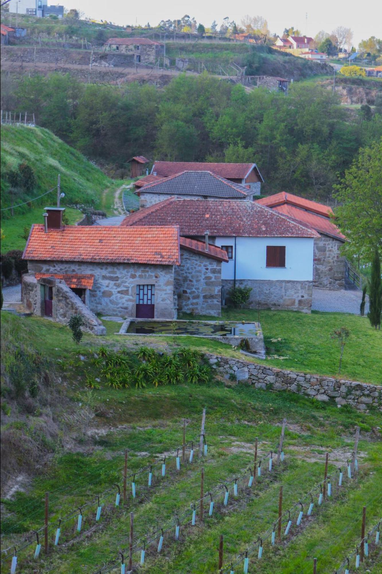 The Farmhouse I - Uma Quinta Deslumbrante Felgueiras Eksteriør bilde
