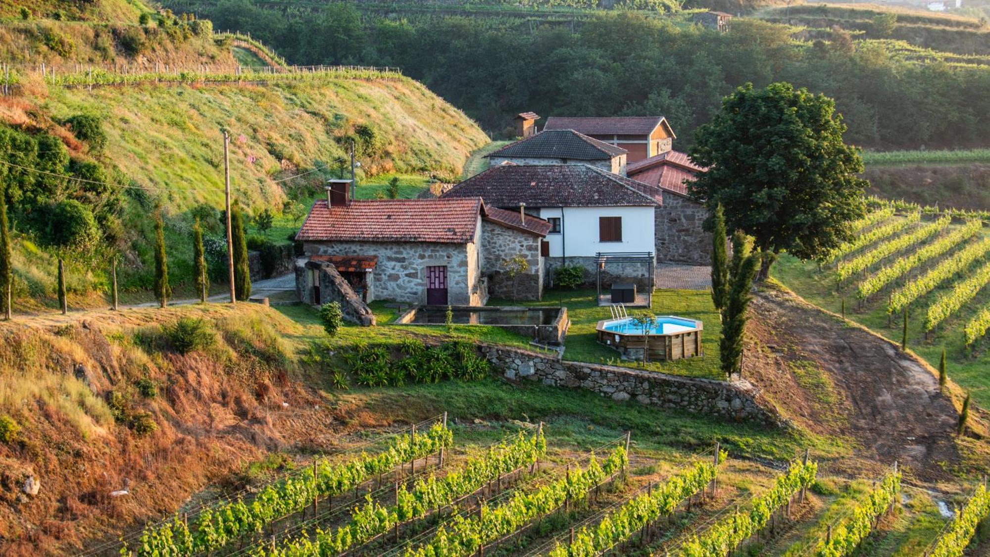 The Farmhouse I - Uma Quinta Deslumbrante Felgueiras Eksteriør bilde